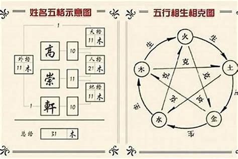 姓名五行怎麼看|免費姓名學分析